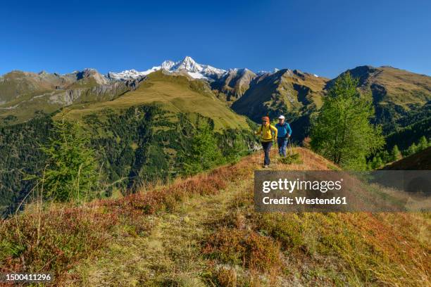 man and woman hiking on mountain in hohe tauern national park, austria - hohe tauern national park stockfoto's en -beelden