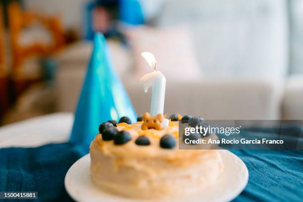 dog´s 1st birthday cake - birthday candle number stock pictures, royalty-free photos & images