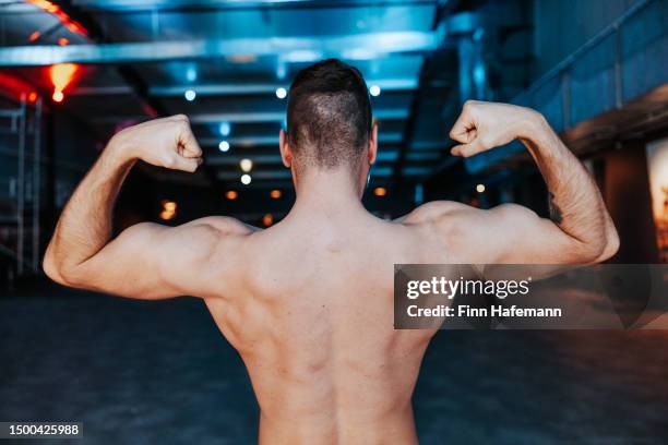 body building shirtless man showing latissimus dorsi, shoulder and bicep muscles - posterior view of arm muscles stock pictures, royalty-free photos & images