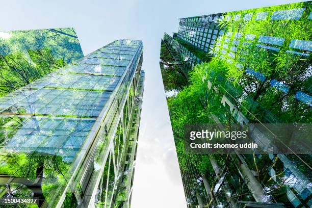 multiple exposure of trees and office buildings in city of london - banker doppelbelichtung stock-fotos und bilder