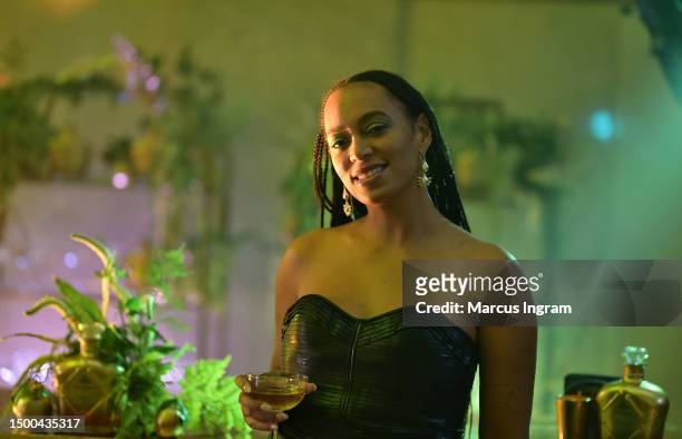 Crown Royal Golden Apple celebrates partnership with Solange Knowles for Saint Heron on June 20, 2023 in Galveston, Texas.