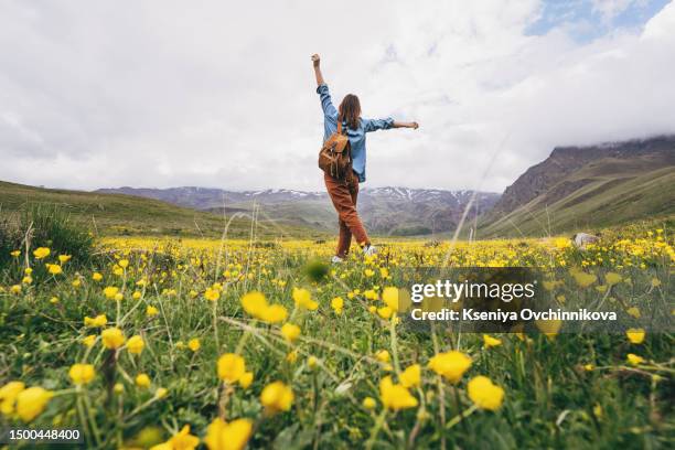 a woman in the mountains admires - lentezza foto e immagini stock