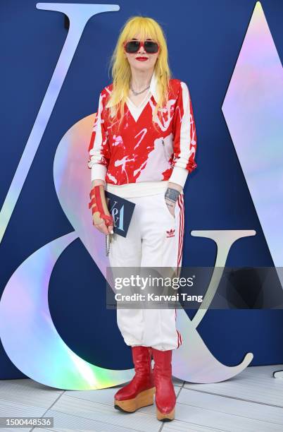 Pam Hogg arrives at the V&A 2023 Summer Party at The V&A on June 21, 2023 in London, England.