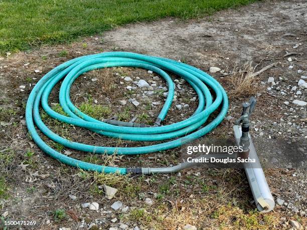 sprinkler and hose for watering and irrigation the lawn - water whorl grass stock pictures, royalty-free photos & images
