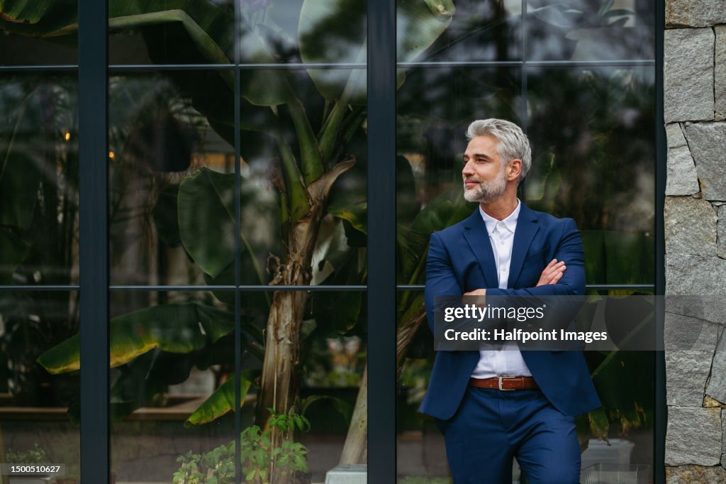Portrait of mature businessman leaning on glass wall.