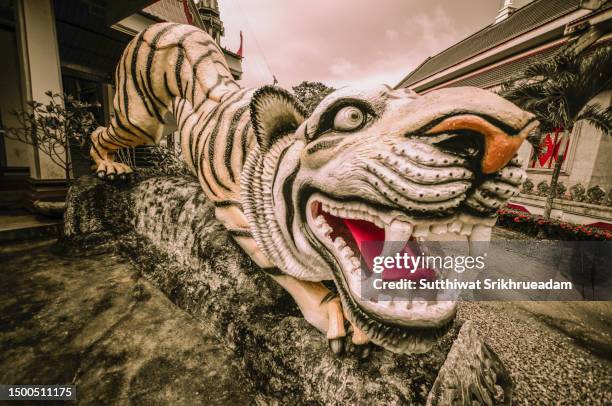 close-up of tiger statue at wat tham sua. krabi, thailand - indochina fotografías e imágenes de stock