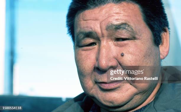 49 Thule Culture Stock Photos, High-Res Pictures, and Images - Getty Images