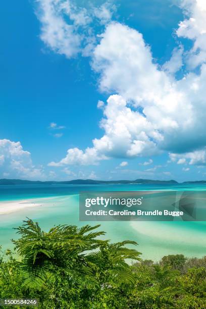 whitsunday islands, queensland, australia - whitehaven beach stock pictures, royalty-free photos & images