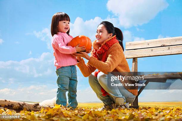 young man - asian mother and daughter pumpkin stockfoto's en -beelden