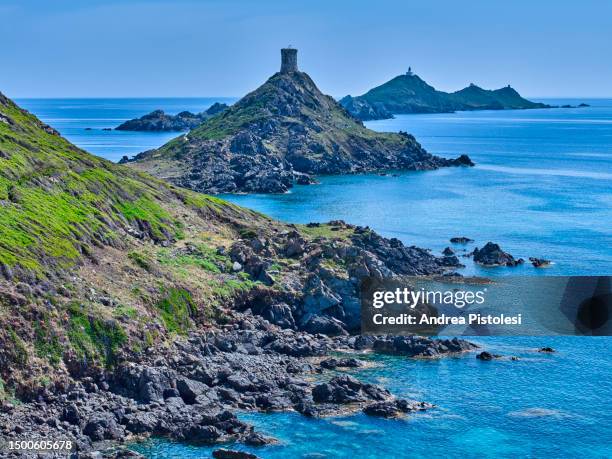 iles sanguinaires on corsica island, france - îles-sanguinaires photos et images de collection