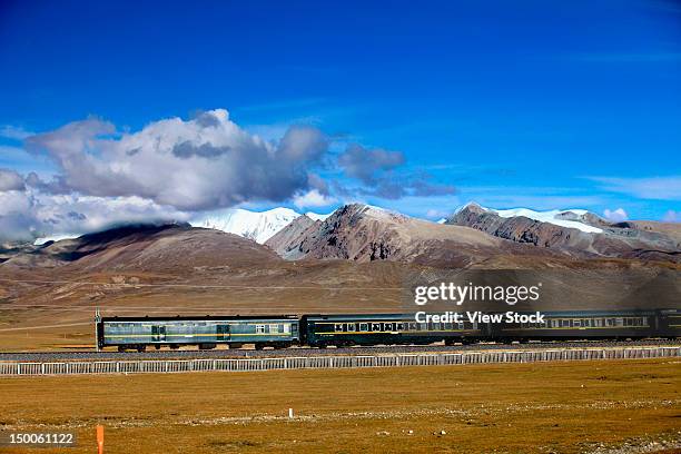 "train,tibet,china" - tibet stock-fotos und bilder