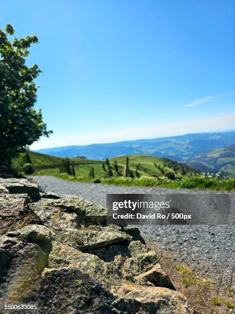 scenic view of landscape against clear sky,schwarzwald,luisenthal,germany - luisenthal stock pictures, royalty-free photos & images