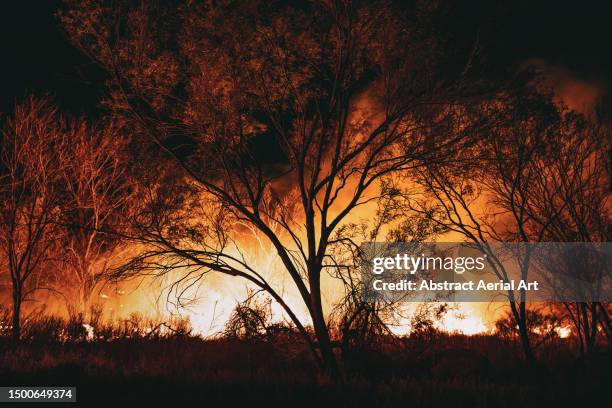 wildfire photographed from a close up perspective at night, western australia, australia - bush land stock pictures, royalty-free photos & images