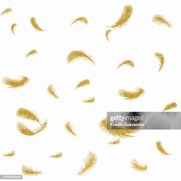 ilustrações de stock, clip art, desenhos animados e ícones de gold feathers seamless pattern with white background. design element for greeting cards and wedding, birthday and other holiday and summer invitation cards background. - pena de escrever