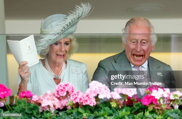 Queen Camilla and King Charles III cheer their horse 'Desert Hero' to victory in 'The King George V Stakes' as they attend day 3 'Ladies Day' of...