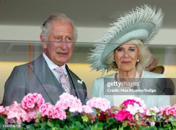 Visibly emotional King Charles III and Queen Camilla watch from the Royal Box after their horse 'Desert Hero' won 'The King George V Stakes' on day 3...