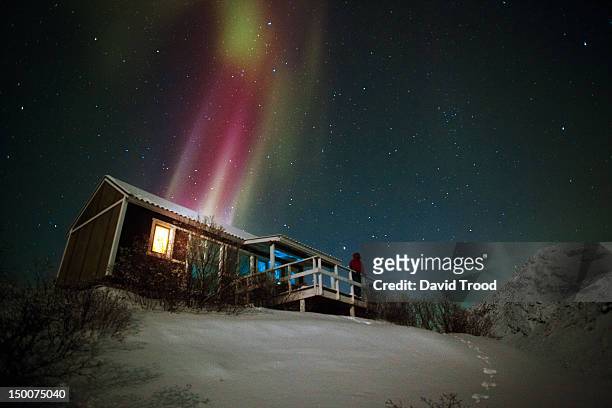aurora borealis - northern lights in greenland - kangerlussuaq bildbanksfoton och bilder