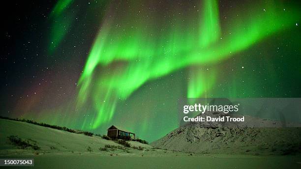 aurora borealis - northern lights in greenland - kangerlussuaq bildbanksfoton och bilder