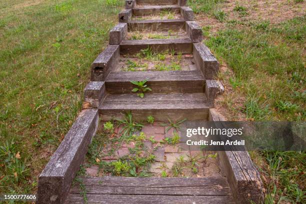 weeds in yard, lawn weeds in garden, messy yard with crab grass - crabgrass stock pictures, royalty-free photos & images