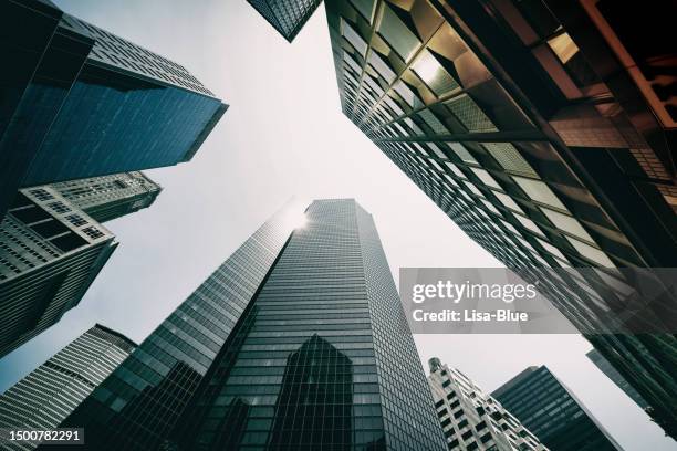 skyscrapers from below. - downtown new york 個照片及圖片檔