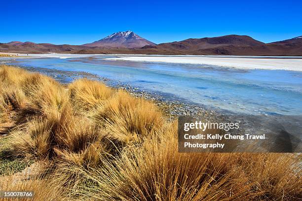 altiplanic lagoon - bolivian andes fotografías e imágenes de stock