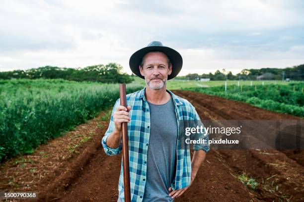 semeando sementes de sucesso: práticas sustentáveis dos agricultores australianos - rotação de culturas - fotografias e filmes do acervo