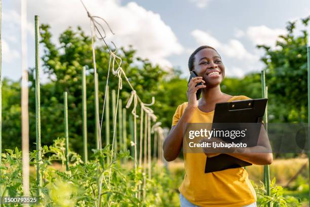 seller verifies by phone the delivery information - agriculture supply chain technology stock pictures, royalty-free photos & images