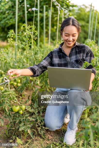Peasant Using Computer Mouse The Peasant As Millionaire Photos and Premium High Res Pictures - Getty ...
