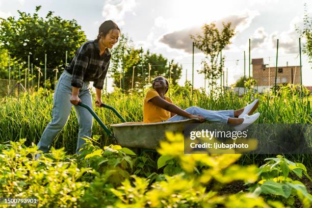 pushing woman in wheelbarrow - wheelbarrow stock pictures, royalty-free photos & images