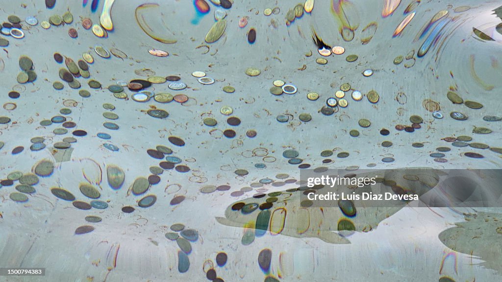Coins inside the Trevi fountain