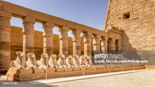 ram headed sphinxes, karnak temple, luxor, egypt. - luxor stock-fotos und bilder
