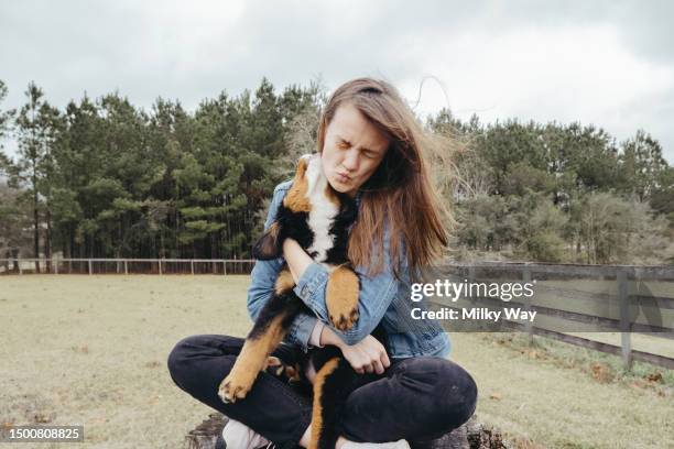 happy woman with putty playing outdoor. cheerful owner and small mountain dog have fun on field against village landscape. walking with pet. - zecca bruna del cane foto e immagini stock