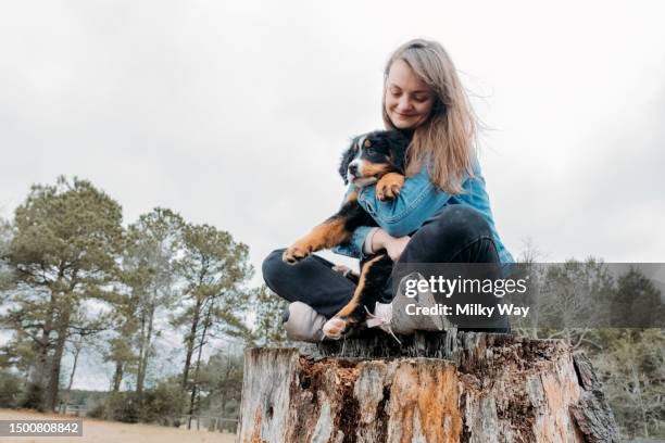 happy woman with puppy playing outdoor. cheerful owner and small mountain dog have fun on field against village landscape. walking domestic animals. - zecca bruna del cane foto e immagini stock