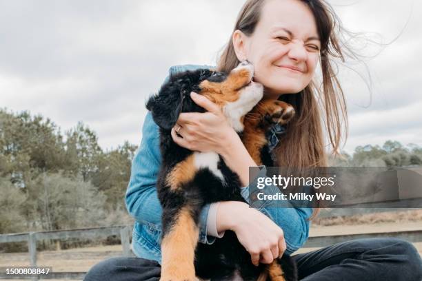 happy woman with puppy playing outdoor. cheerful owner and small mountain dog have fun on field against village landscape. walking with pet. domestic animal concept. - zecca bruna del cane foto e immagini stock