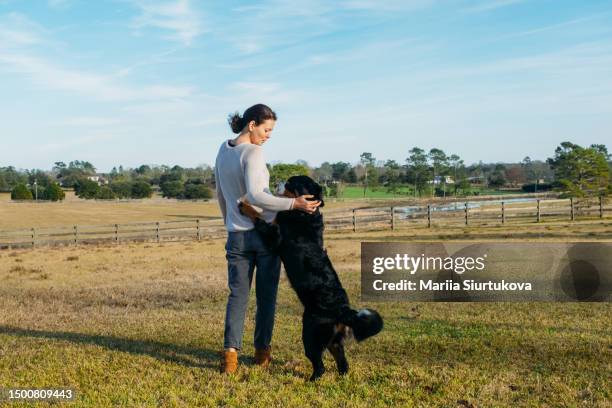 happy woman with active dog playing outdoor. cheerful owner and big bernese mountain dog have fun on field against village landscape. walking with pet. - happy lady walking dog stockfoto's en -beelden