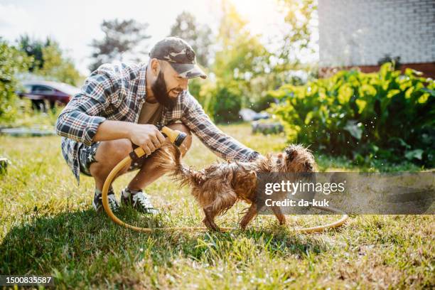 庭で犬とホースを楽しんでいる男 - wet hose ストックフォトと画像