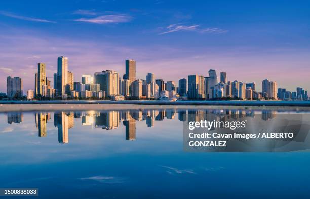 city skyline sunrise new miami florida skyscrapers - miami foto e immagini stock