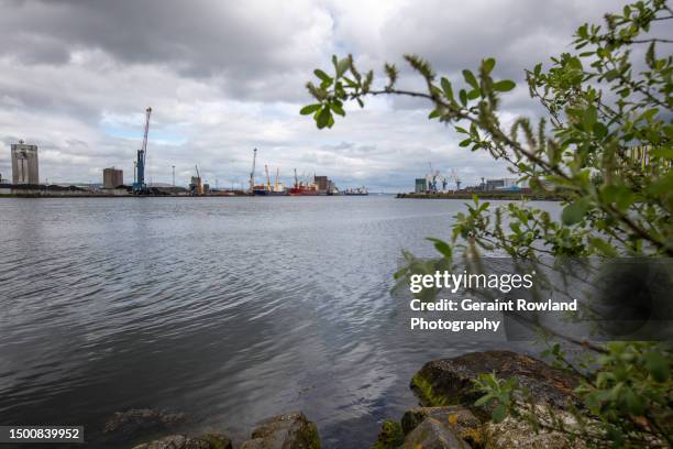 belfast port & harbour image - belfast crane stock pictures, royalty-free photos & images