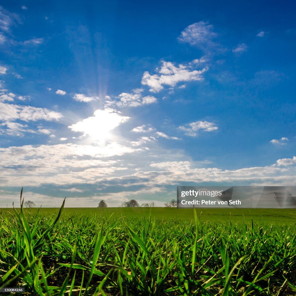 Sun against light above field