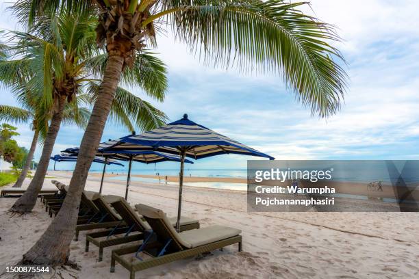 liegestühle und sonnenschirm unter einer palme an einem tropischen strand, hua hin, prachuap khiri khan, thailand, 19. juni 2023. - hua hin thailand stock-fotos und bilder