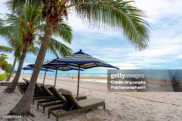 sun chairs and parasol under a palm tree at a tropical beach, hua hin, prachuap khiri khan, thailand, jun 19, 2023. - hua hin stockfoto's en -beelden