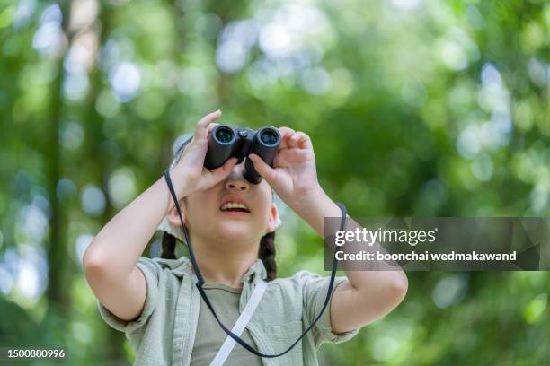 girl looking through binoculars in the forest. - asian child with binoculars stockfoto's en -beelden