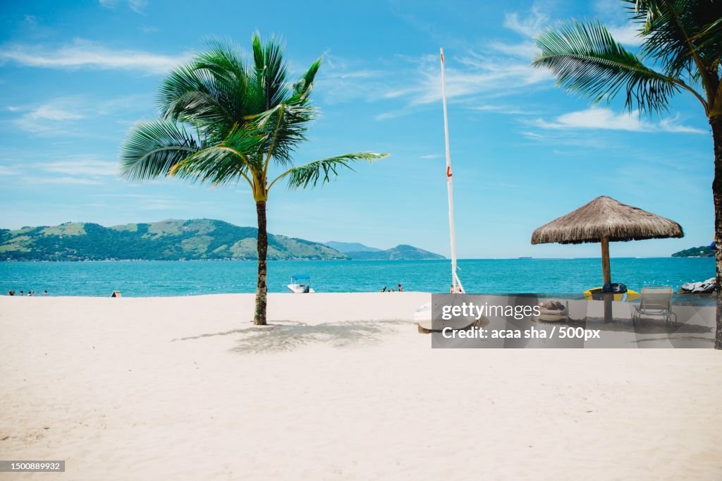 Scenic view of palm trees on beach against sky
