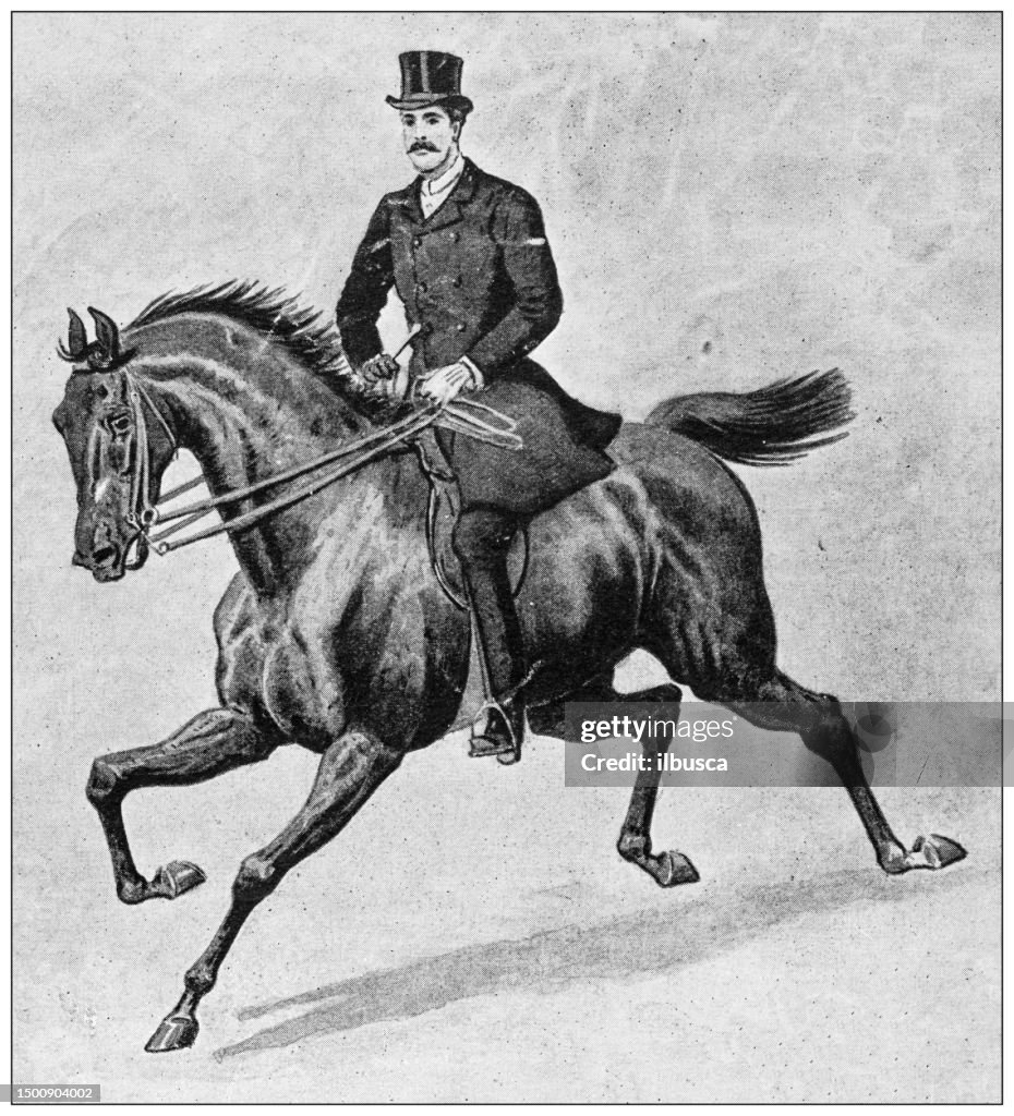 Man Riding Rocking Horse Antique Image From British Magazine Man Riding Horse High-Res Vector ...