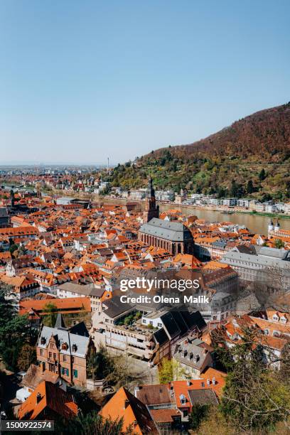 panoramic view of heidelberg city with neckar river and old bridge. - heidelberg germany stock pictures, royalty-free photos & images