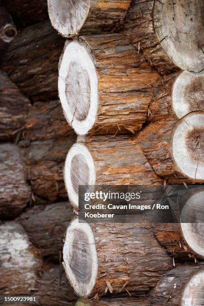 Interlocking Patterns Photos and Premium High Res Pictures - Getty Images