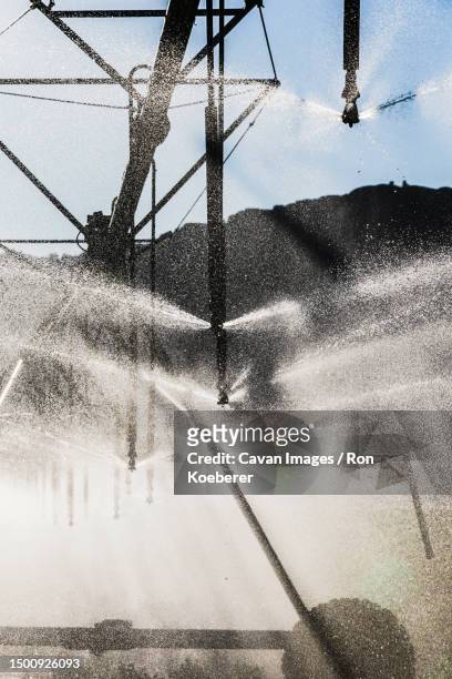 close-up of irrigation sprinklers in the state of washington - koeberer stock pictures, royalty-free photos & images
