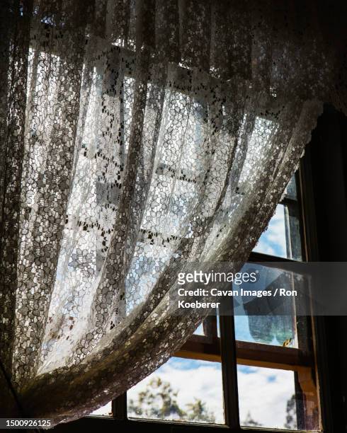 lace curtain's - koeberer stock pictures, royalty-free photos & images