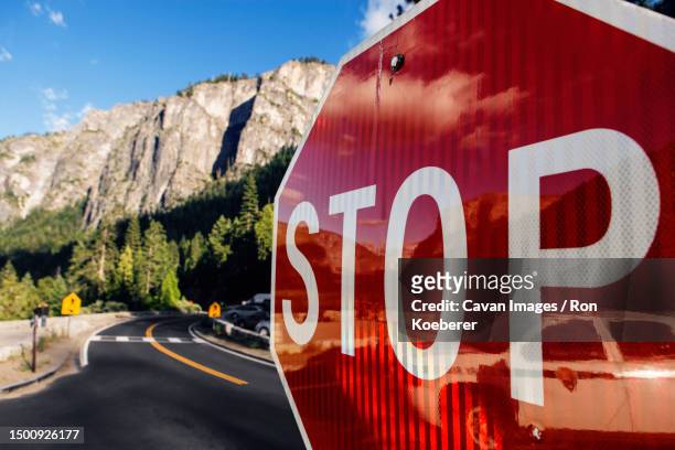 red stop sign - koeberer stock pictures, royalty-free photos & images