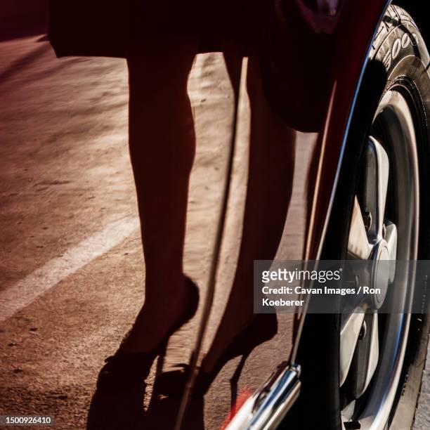 female legs - koeberer stock pictures, royalty-free photos & images